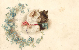 carte-chats